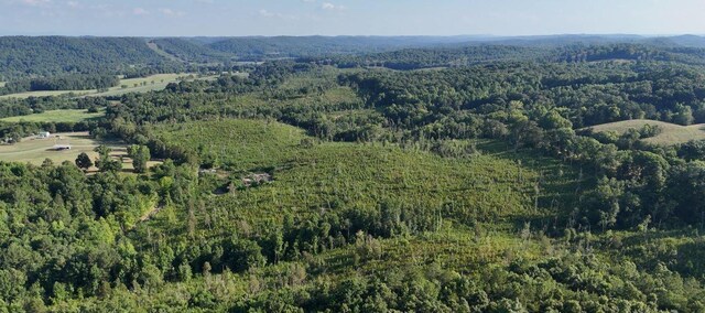 0 Big Sewee Rd, Decatur, TN 37322