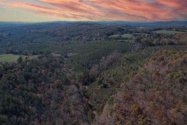 0 Big Sewee Rd, Decatur, TN 37322