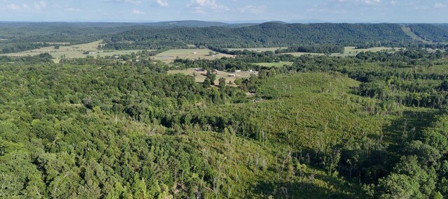 0 Big Sewee Rd, Decatur, TN 37322