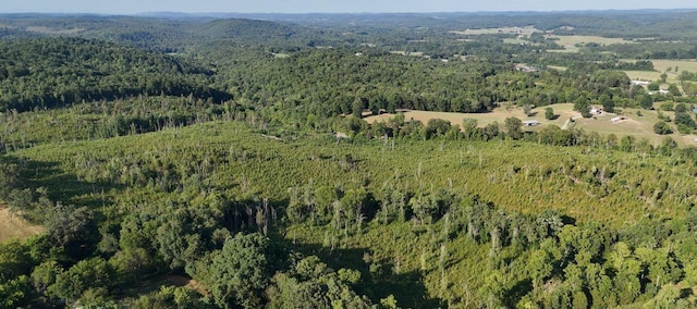 0 Big Sewee Rd, Decatur, TN 37322