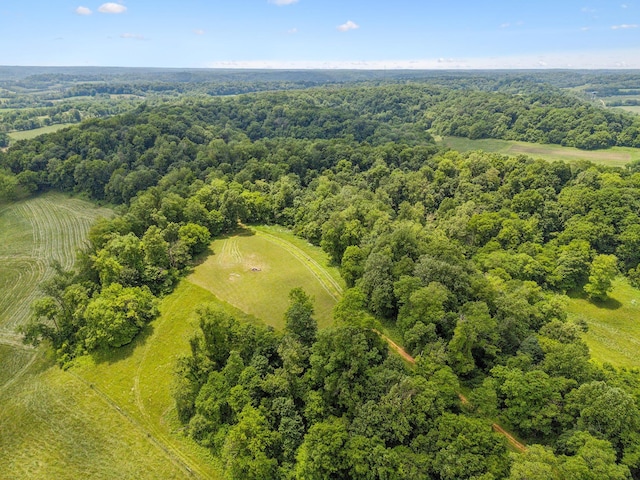 4588 Roy Thompson Rd, Mount Pleasant, TN 38474 - bird's eye view of a heavily wooded area