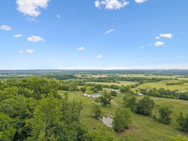 4588 Roy Thompson Rd, Mount Pleasant, TN 38474 - view of rural area