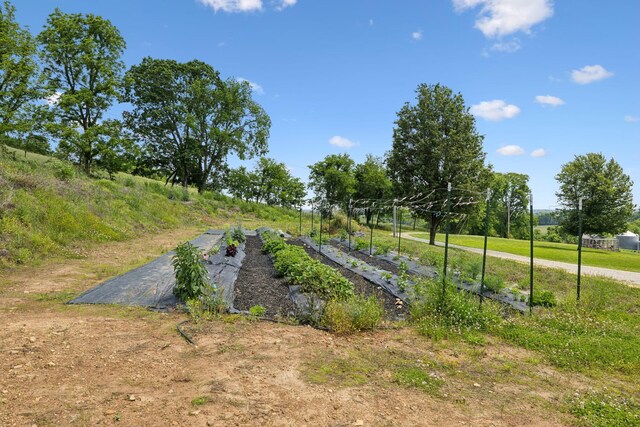 4588 Roy Thompson Rd, Mount Pleasant, TN 38474 - view of yard featuring a vegetable garden