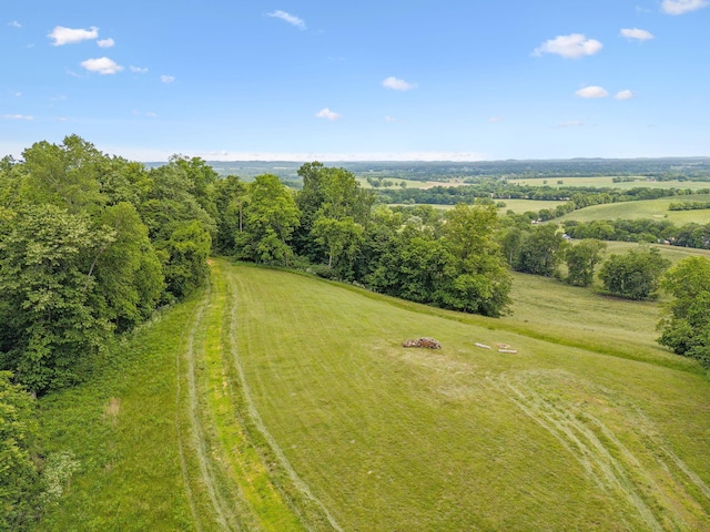 4588 Roy Thompson Rd, Mount Pleasant, TN 38474 - drone / aerial view