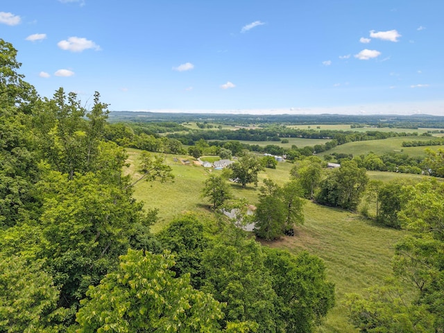 4588 Roy Thompson Rd, Mount Pleasant, TN 38474 - aerial view of sparsely populated area