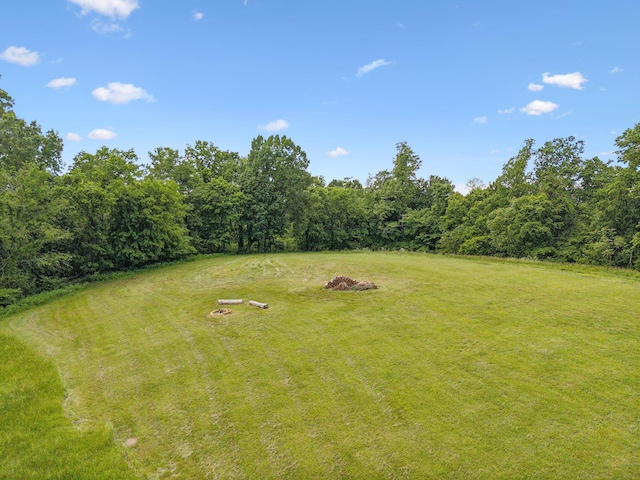 4588 Roy Thompson Rd, Mount Pleasant, TN 38474 - view of green lawn