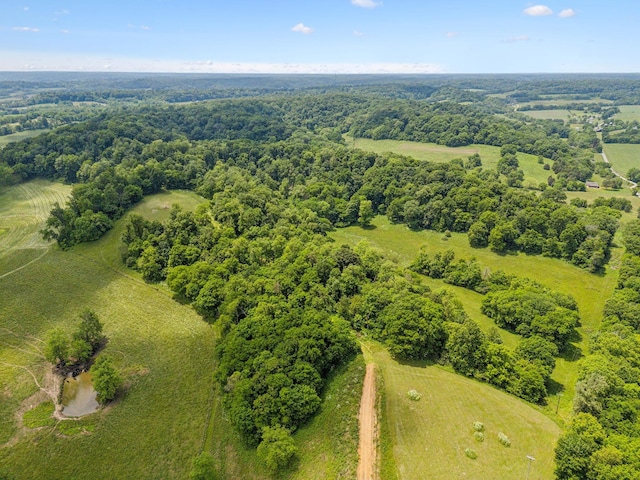 4588 Roy Thompson Rd, Mount Pleasant, TN 38474 - aerial view
