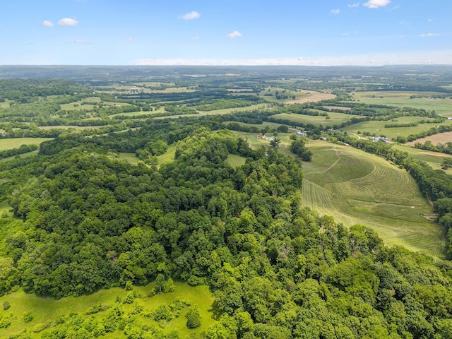 4588 Roy Thompson Rd, Mount Pleasant, TN 38474 - aerial view of a heavily wooded area