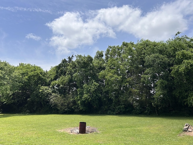 7324 Bermuda Dr, Christiana, TN 37037 - view of grassy yard with a view of trees