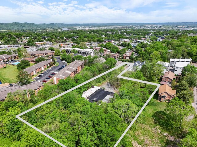 813 Watts Ln, Nashville, TN 37209 - photo 5
