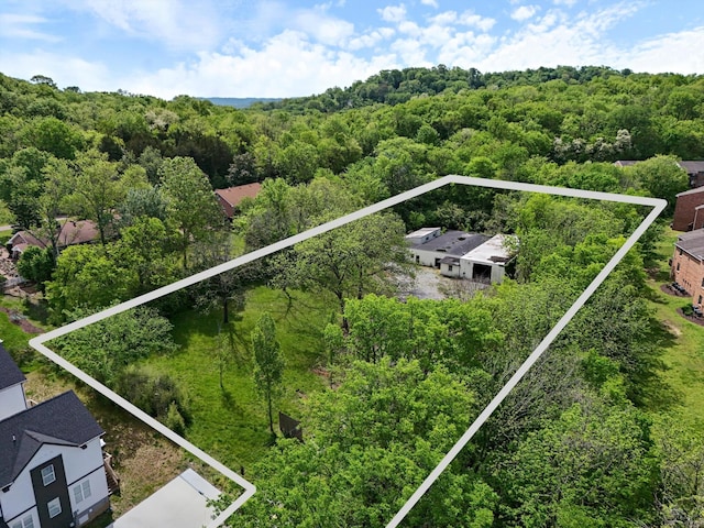 813 Watts Ln, Nashville, TN 37209 - photo 6
