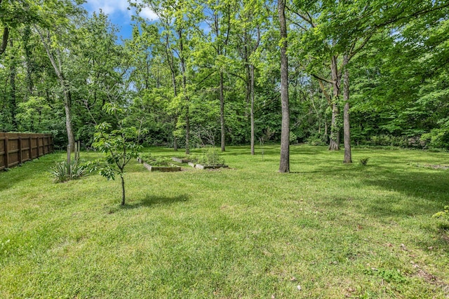 2642 Stuart St, Burns, TN 37029 - view of yard