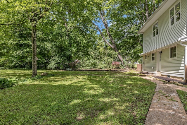 2642 Stuart St, Burns, TN 37029 - view of green lawn