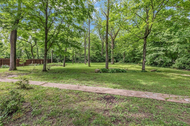 2642 Stuart St, Burns, TN 37029 - view of yard
