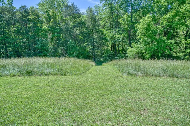 427 Frank Sims Rd, Sparta, TN 38583 - photo 43