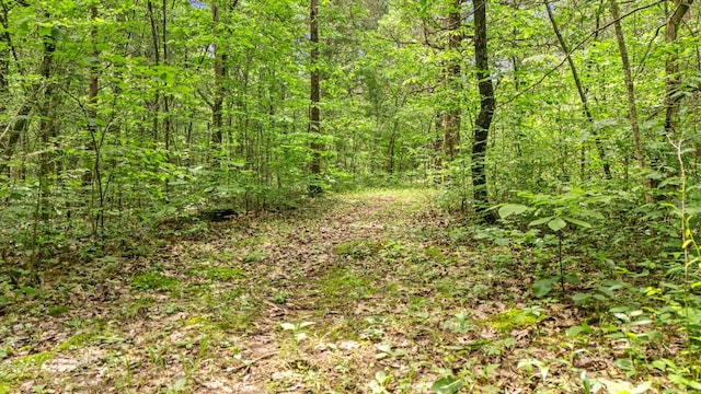 2101 Murray Kittrell Rd, Readyville, TN 37149 - view of wooded area