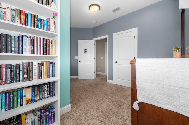 2101 Murray Kittrell Rd, Readyville, TN 37149 - hall with carpet floors and baseboards