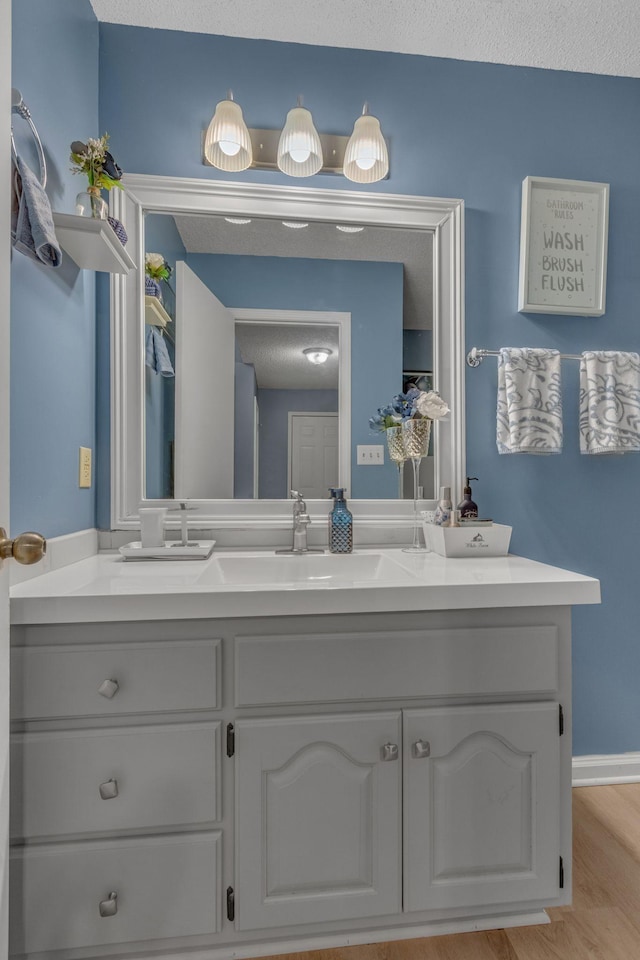 1383 Carters Creek Pike, Columbia, TN 38401 - bathroom featuring vanity and wood finished floors