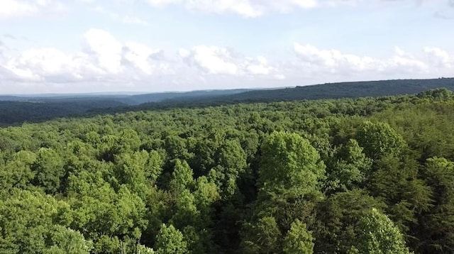 0 Caldwell Rd, Coalmont, TN 37313 - photo 18