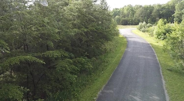 0 Caldwell Rd, Coalmont, TN 37313 - photo 19