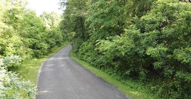0 Caldwell Rd, Coalmont, TN 37313 - photo 3
