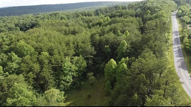 0 Caldwell Rd, Coalmont, TN 37313 - photo 17