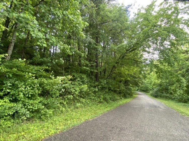 0 Caldwell Rd, Coalmont, TN 37313 - photo 7