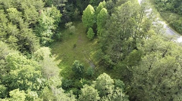0 Caldwell Rd, Coalmont, TN 37313 - photo 20