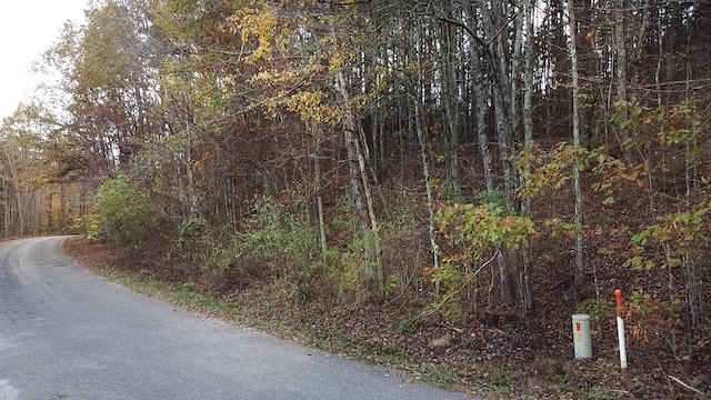 0 Caldwell Rd, Coalmont, TN 37313 - photo 15