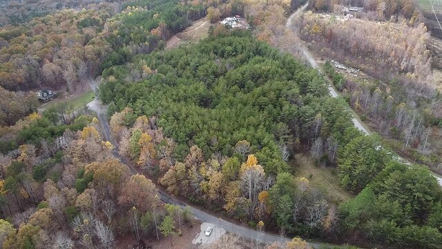 0 Caldwell Rd, Coalmont, TN 37313 - photo 11