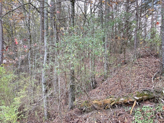 0 Caldwell Rd, Coalmont, TN 37313 - photo 16