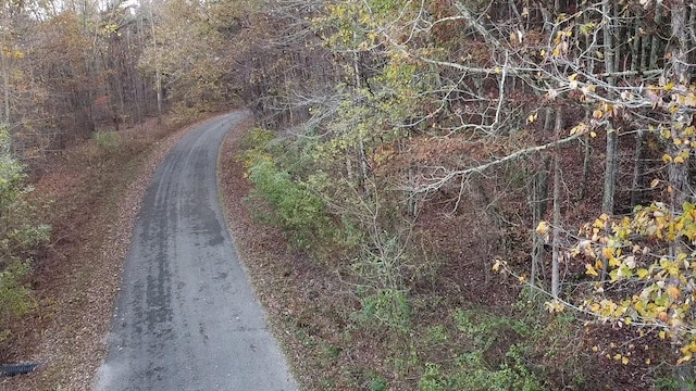 0 Caldwell Rd, Coalmont, TN 37313 - photo 14