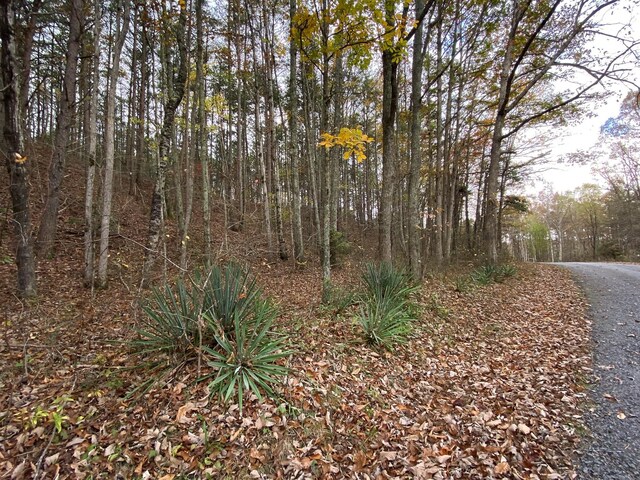 0 Caldwell Rd, Coalmont, TN 37313 - photo 9