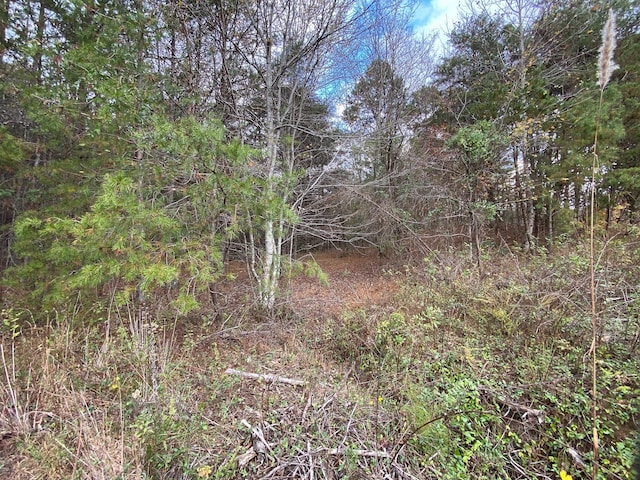 0 Caldwell Rd, Coalmont, TN 37313 - photo 13