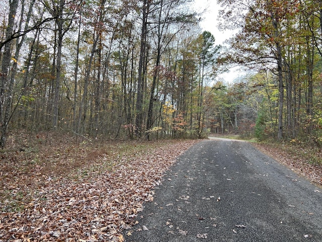0 Caldwell Rd, Coalmont, TN 37313 - photo 12