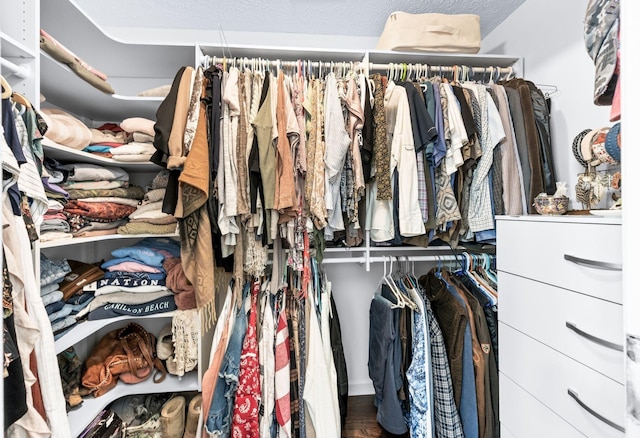 view of walk in closet