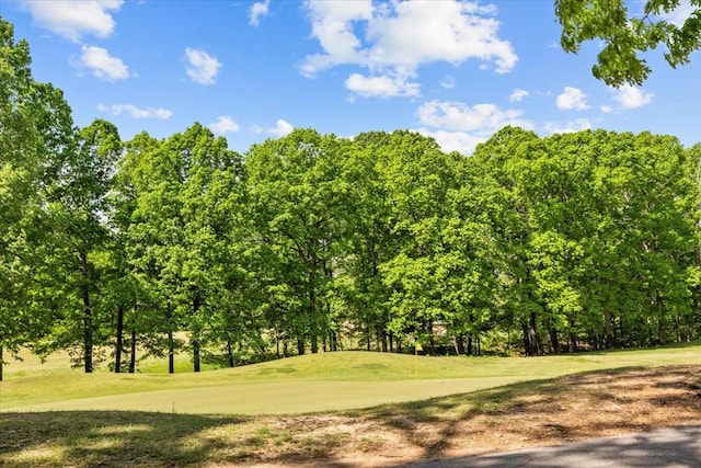 11 Sycamore Rdg W, Burns, TN 37029 - view of community featuring view of wooded area and a lawn