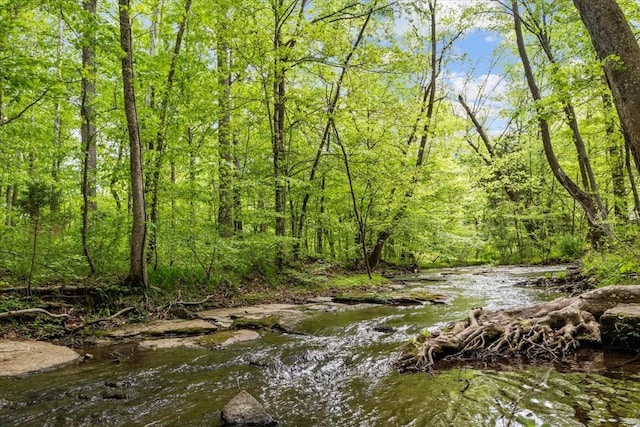 11 Sycamore Rdg W, Burns, TN 37029 - water view featuring a forest