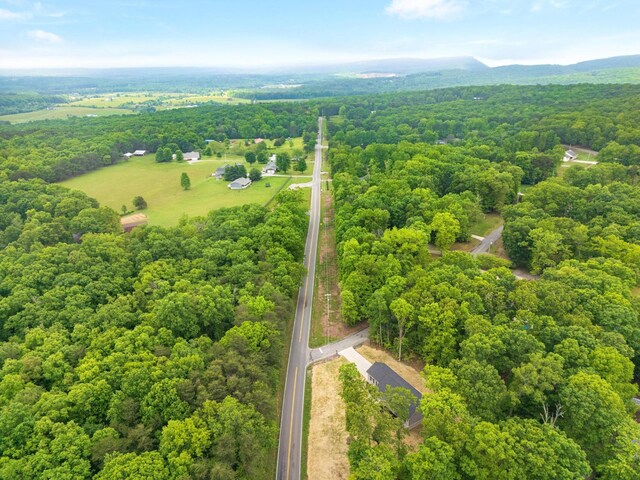 297 Scooter Dr, Graysville, TN 37338 - photo 36