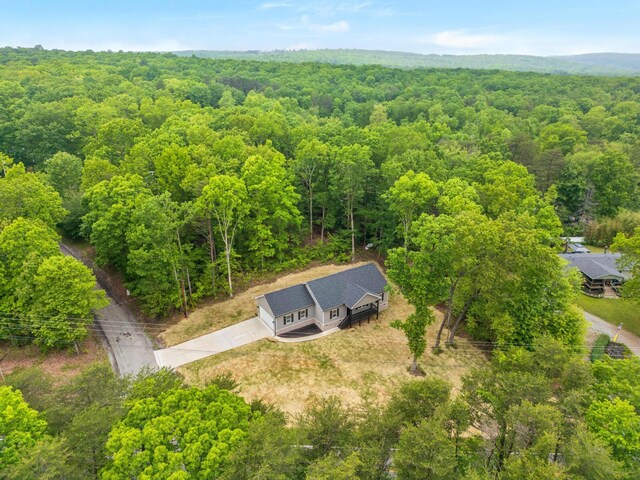 297 Scooter Dr, Graysville, TN 37338 - photo 34