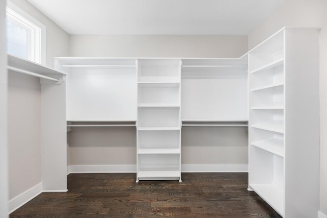 walk in closet featuring wood finished floors