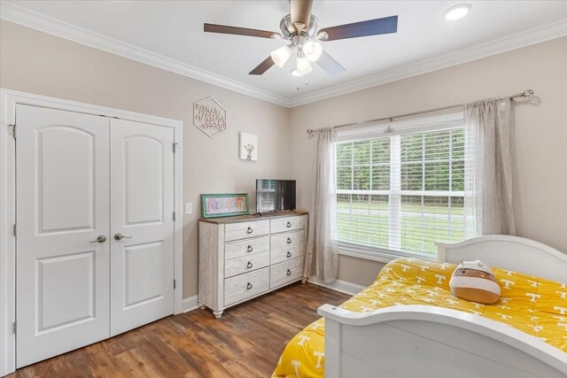 401 Hancock Ln, Tullahoma, TN 37388 - bedroom with baseboards, dark wood-style flooring, ornamental molding, a ceiling fan, and a closet