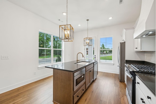 kitchen featuring appliances with stainless steel finishes, custom exhaust hood, dark countertops, a sink, and plenty of natural light