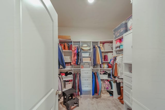 4022 Arrowleaf Ln, Antioch, TN 37013 - spacious closet featuring carpet flooring