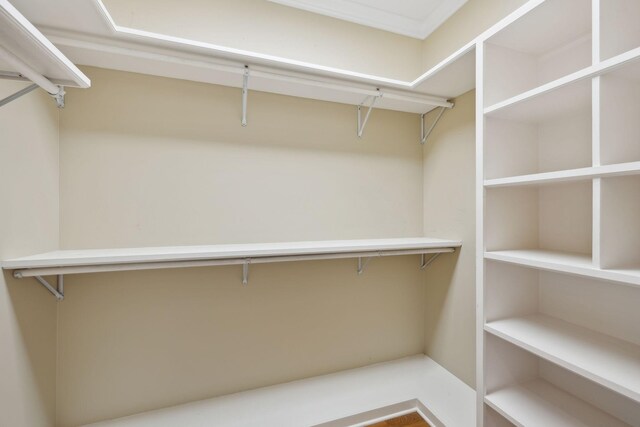 219 Dale Ln, Hilham, TN 38568 - view of spacious closet