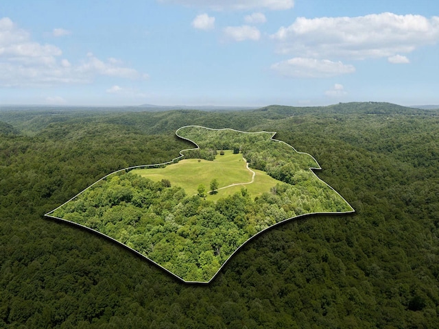 219 Dale Ln, Hilham, TN 38568 - drone / aerial view of a forest
