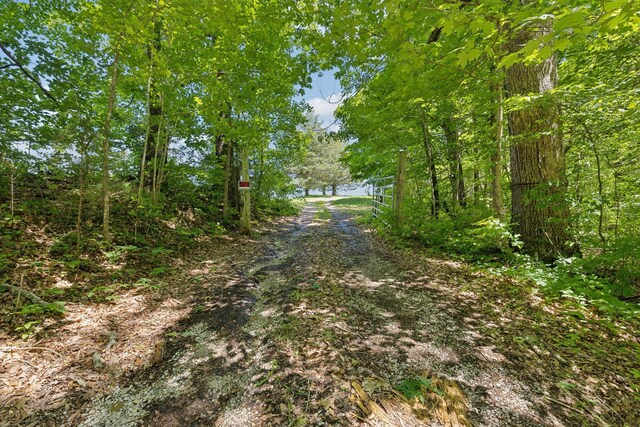 219 Dale Ln, Hilham, TN 38568 - view of street