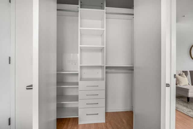 view of closet