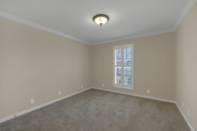 3319 Mershon Dr, Murfreesboro, TN 37128 - empty room with ornamental molding, carpet, and baseboards