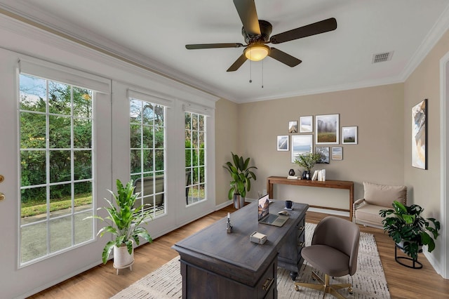 3319 Mershon Dr, Murfreesboro, TN 37128 - office area featuring ornamental molding, a ceiling fan, light wood-style flooring, and baseboards